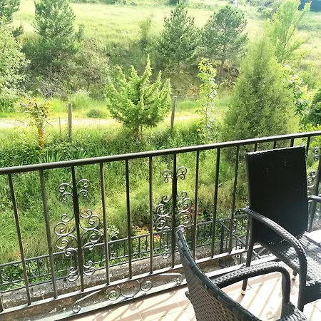 Apartamento Anatiduero *