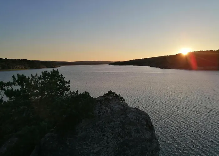 Anatiduero Molinos de Duero