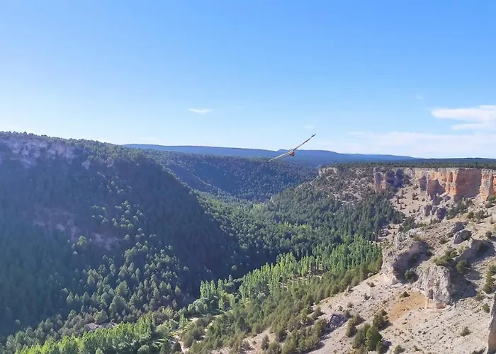 Anatiduero * 莫利诺斯德杜埃罗